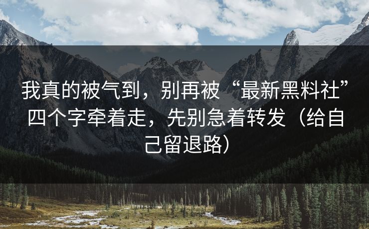 我真的被气到，别再被“最新黑料社”四个字牵着走，先别急着转发（给自己留退路）