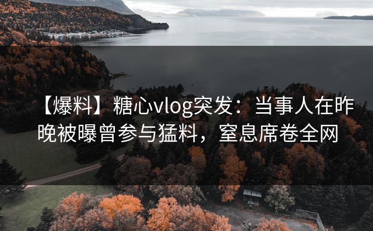 【爆料】糖心vlog突发：当事人在昨晚被曝曾参与猛料，窒息席卷全网