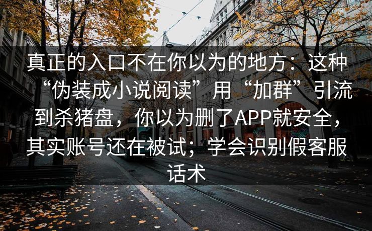 真正的入口不在你以为的地方：这种“伪装成小说阅读”用“加群”引流到杀猪盘，你以为删了APP就安全，其实账号还在被试；学会识别假客服话术